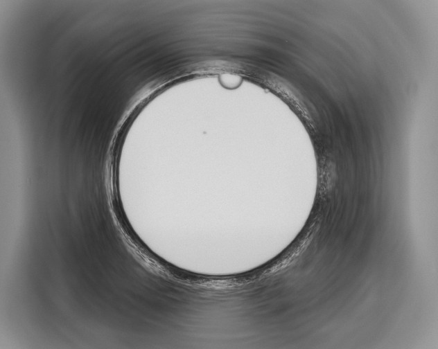 X0000115111130200911241322