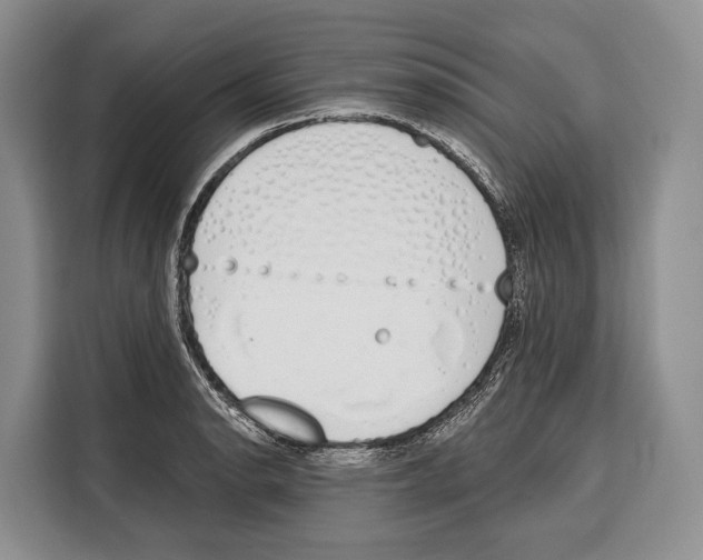 X0000115111134200911241322