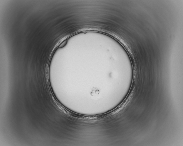 X0000115111137200911241322