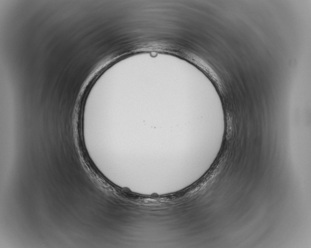 X0000115111138200911241322
