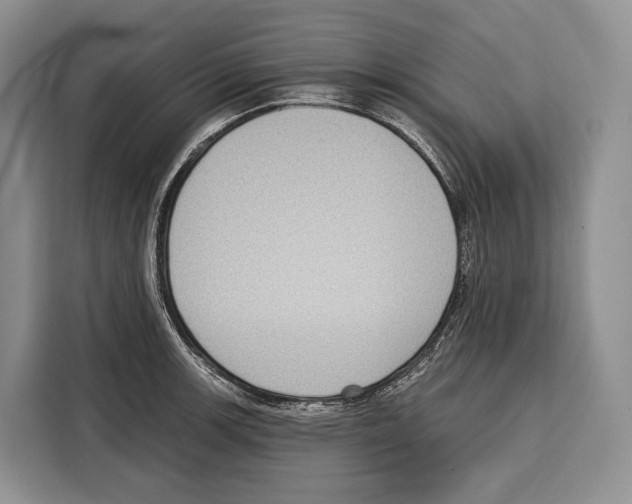X0000115111139200911241322