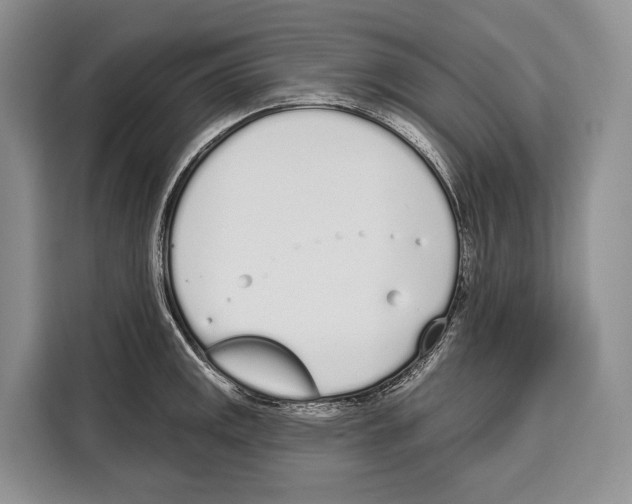 X0000115111141200911241322