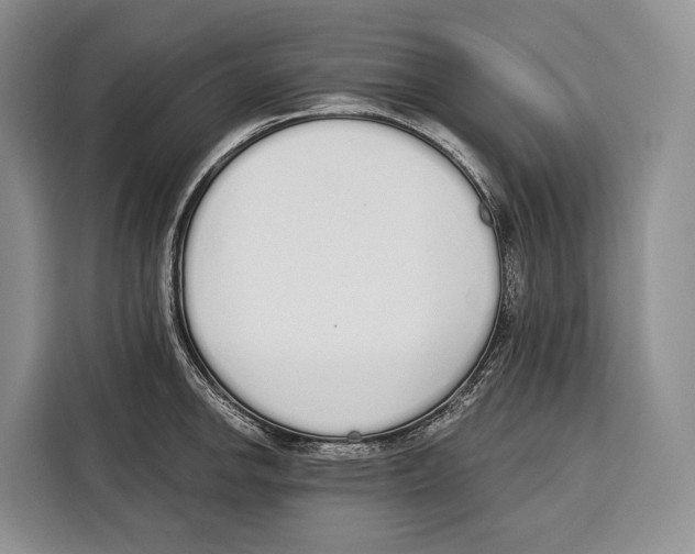 X0000115111142200911241322