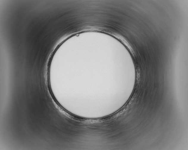 X0000115111143200911241322