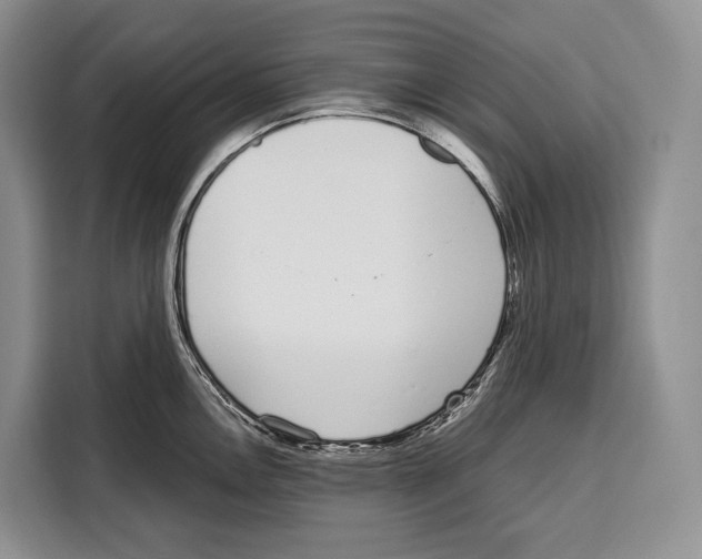 X0000115111146200911241322