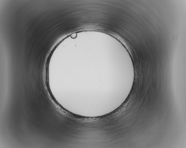 X0000115111147200911241322