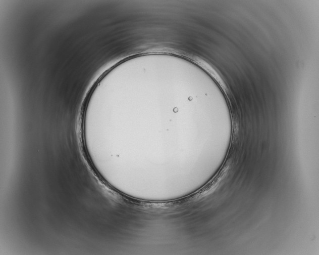 X0000115111149200911241322