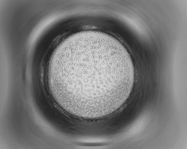 X0000115111151200911241322
