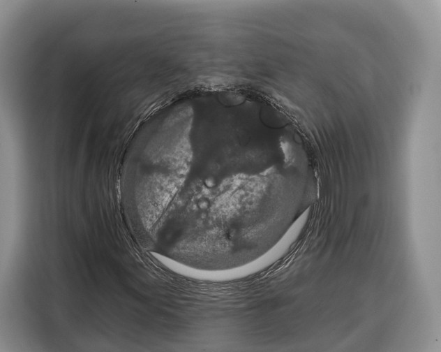 X0000115111155200911241321