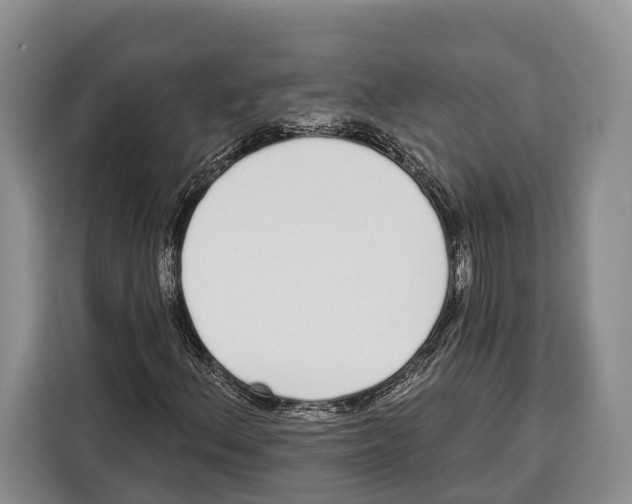 X0000115111156200911241321