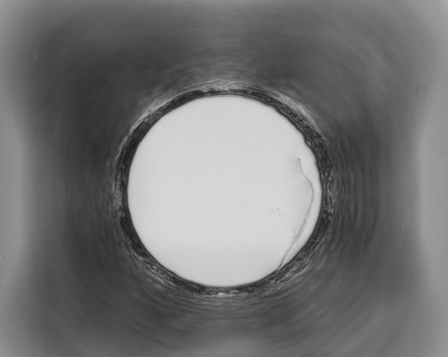 X0000115111160200911241321