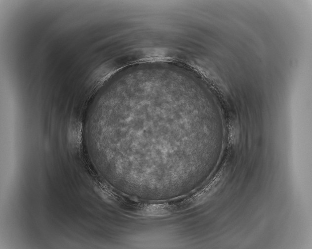 X0000115111161200911241321