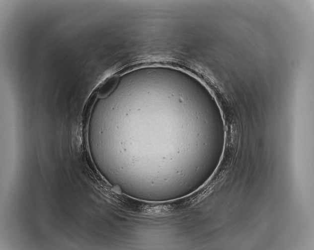 X0000115111165200911241321