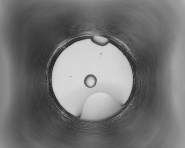 X0000115111168200911241321
