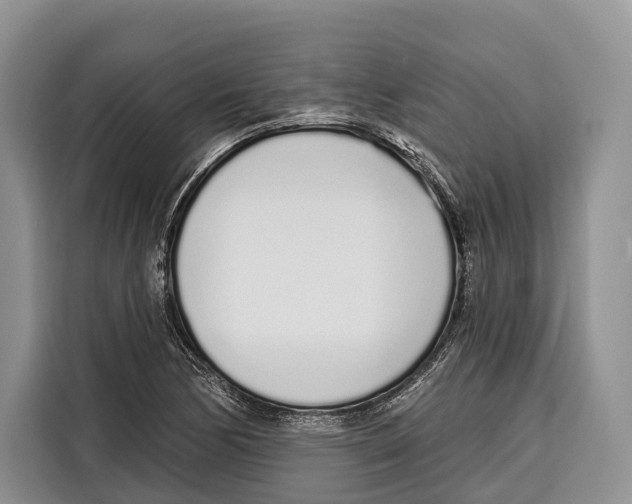 X0000115111170200911241321