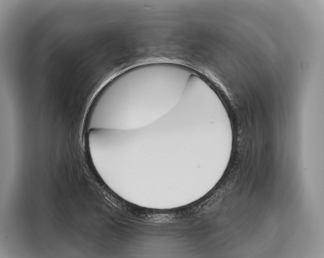 X0000115111173200911241321