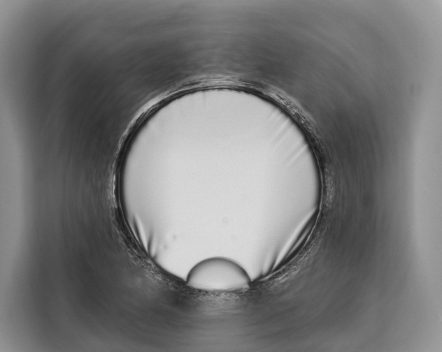 X0000115111174200911241321