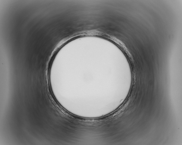 X0000115111176200911241321