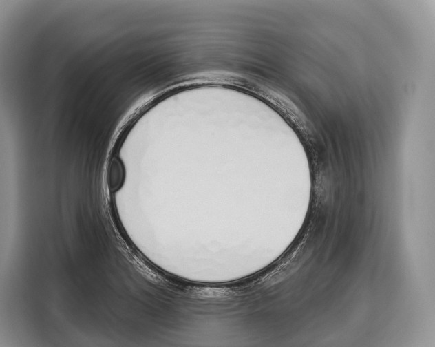 X0000115111180200911241321