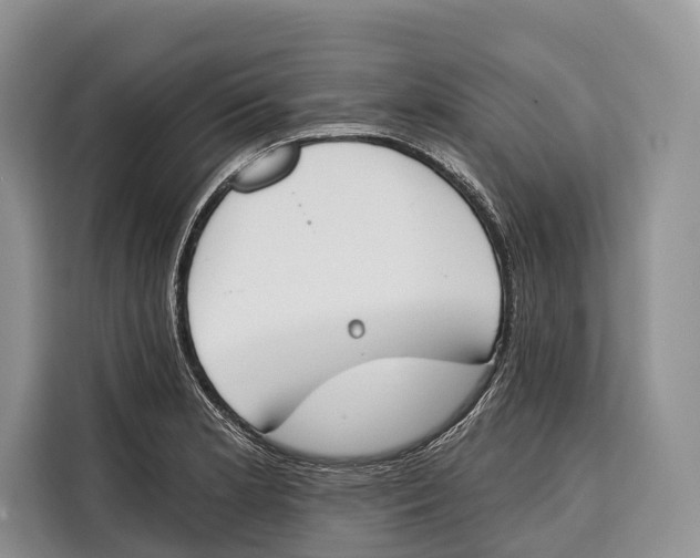 X0000115111181200911241321