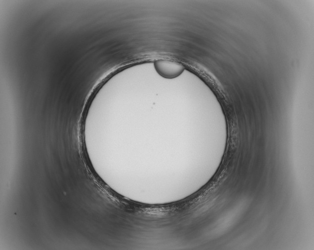 X0000115111182200911241321