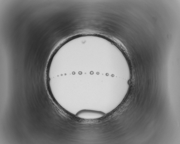 X0000115111183200911241321