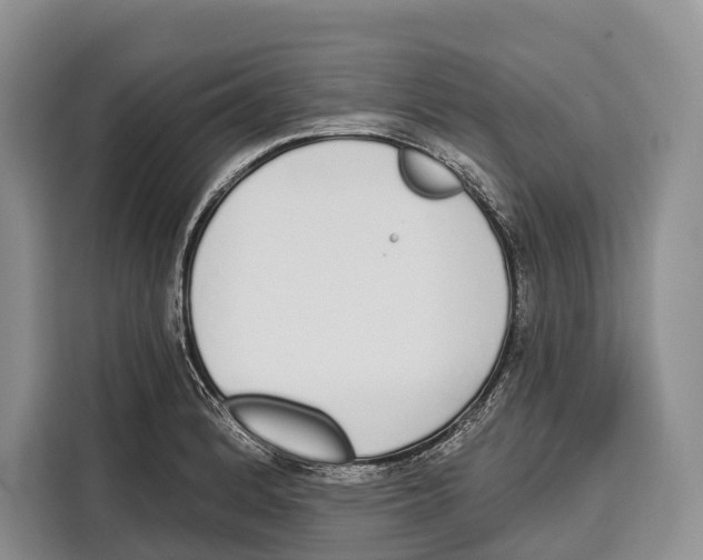 X0000115111184200911241321