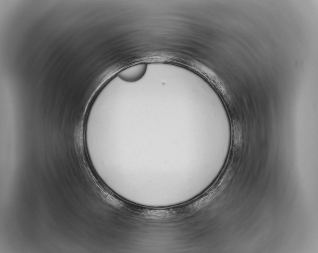 X0000115111186200911241321