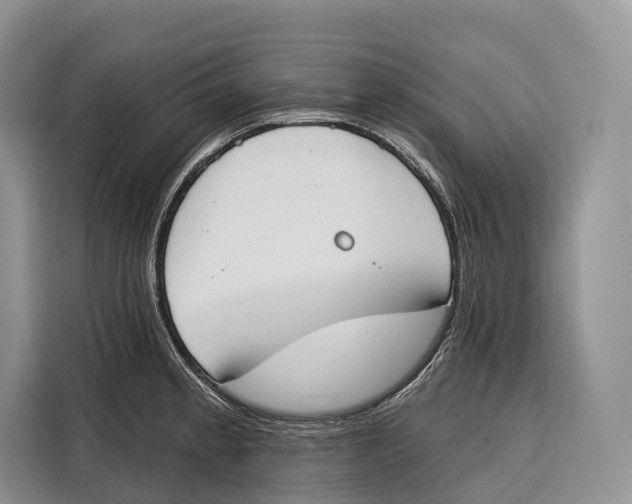 X0000115111189200911241321