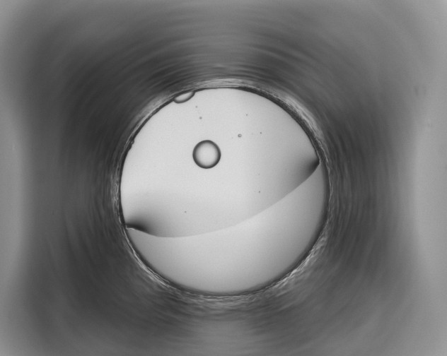 X0000115111193200911241321