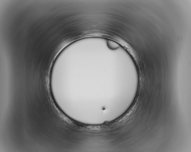 X0000115111194200911241321