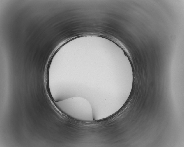 X0000115111195200911241321