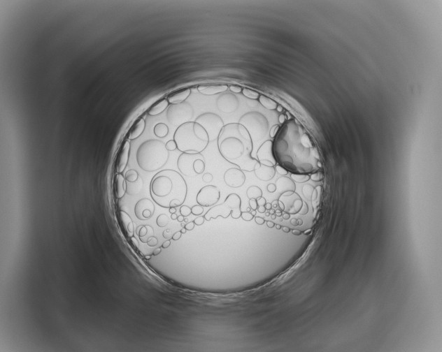 X0000115111196200911241321