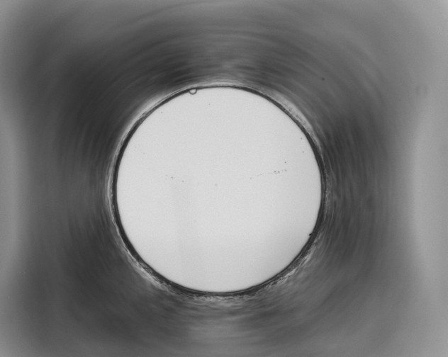 X0000115111197200911241321