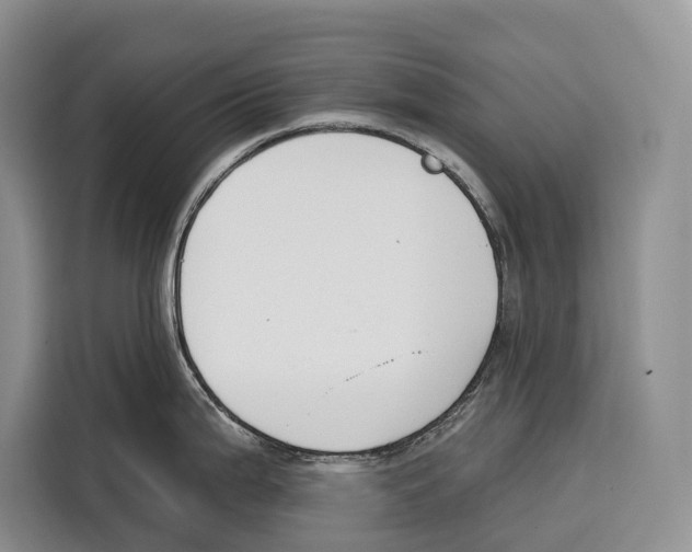 X0000115111199200911241321
