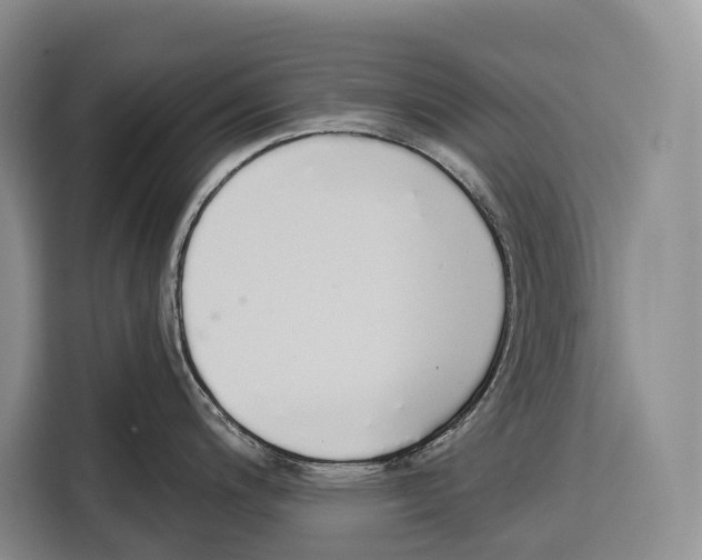 X0000115111200200911241321