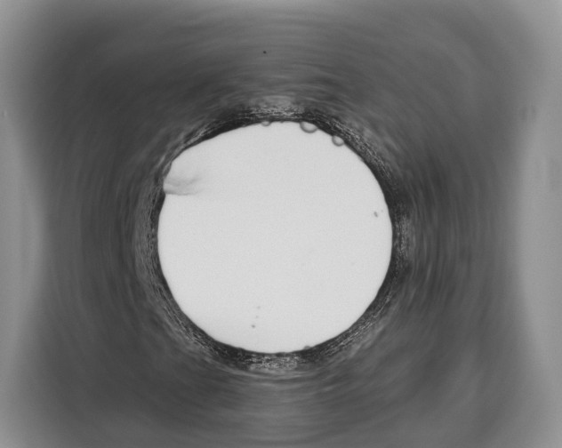 X0000115111201200911241320