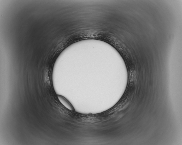X0000115111202200911241320