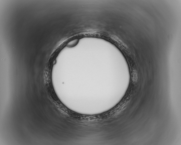 X0000115111208200911241320
