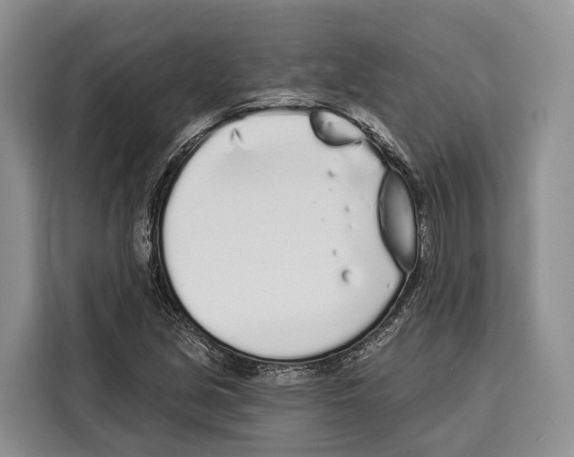 X0000115111213200911241320