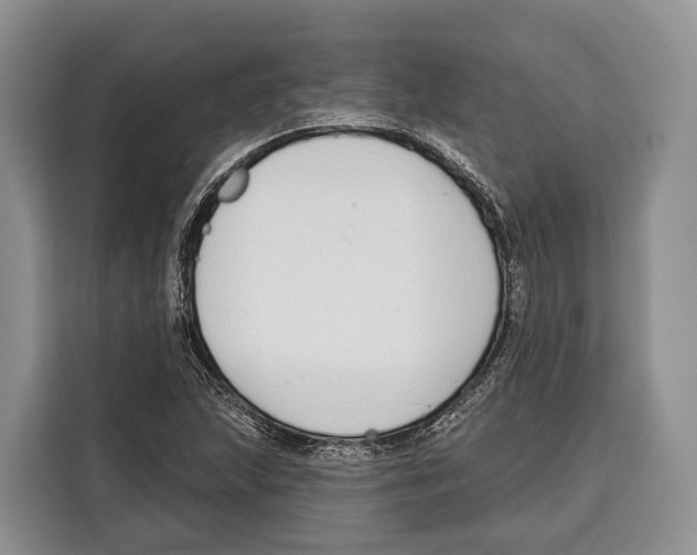 X0000115111215200911241320