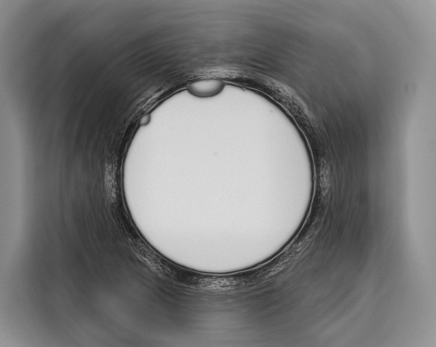 X0000115111217200911241320