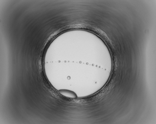 X0000115111218200911241320