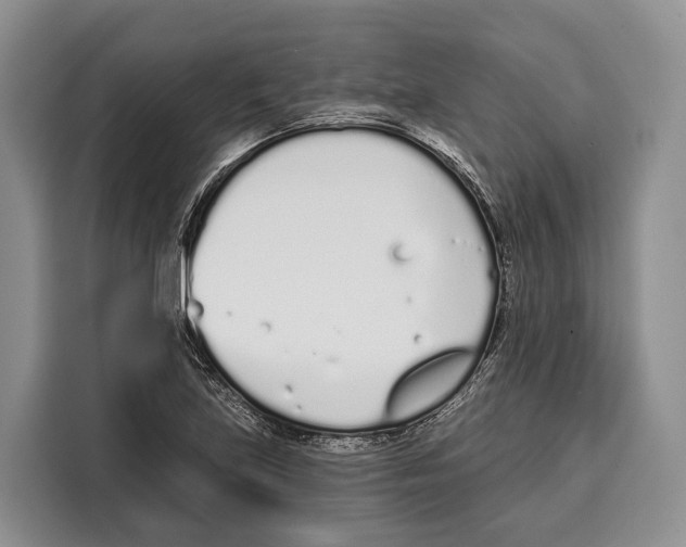 X0000115111219200911241320
