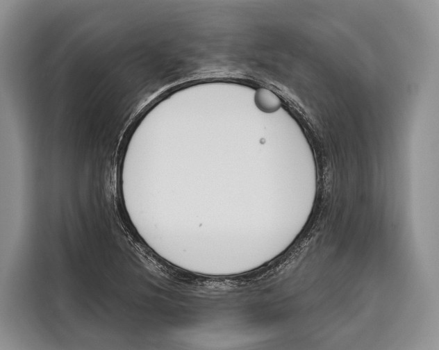 X0000115111220200911241320