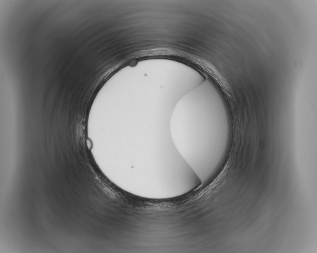 X0000115111225200911241320