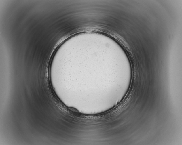 X0000115111226200911241320