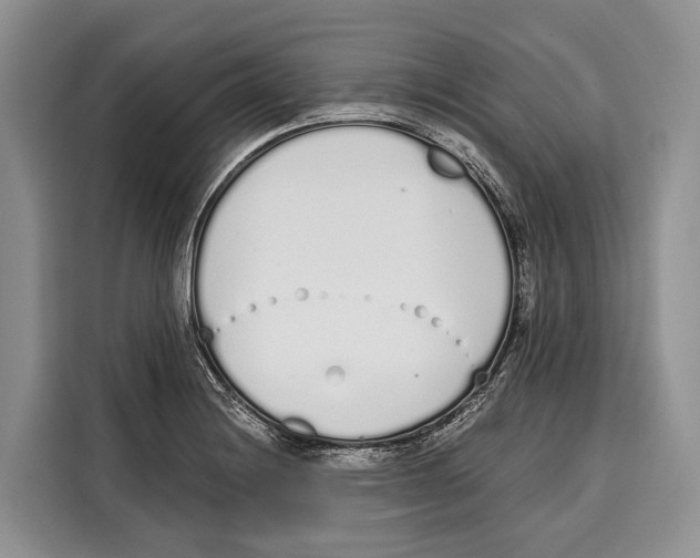 X0000115111228200911241320