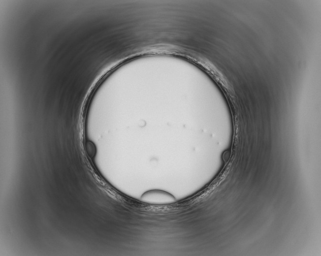 X0000115111232200911241321