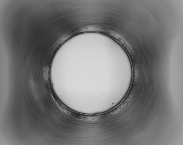 X0000115111233200911241321